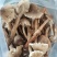 云南易门深山野生牛肝菌红葱黄葱黑牛肝新鲜野生菌野生菌菌
