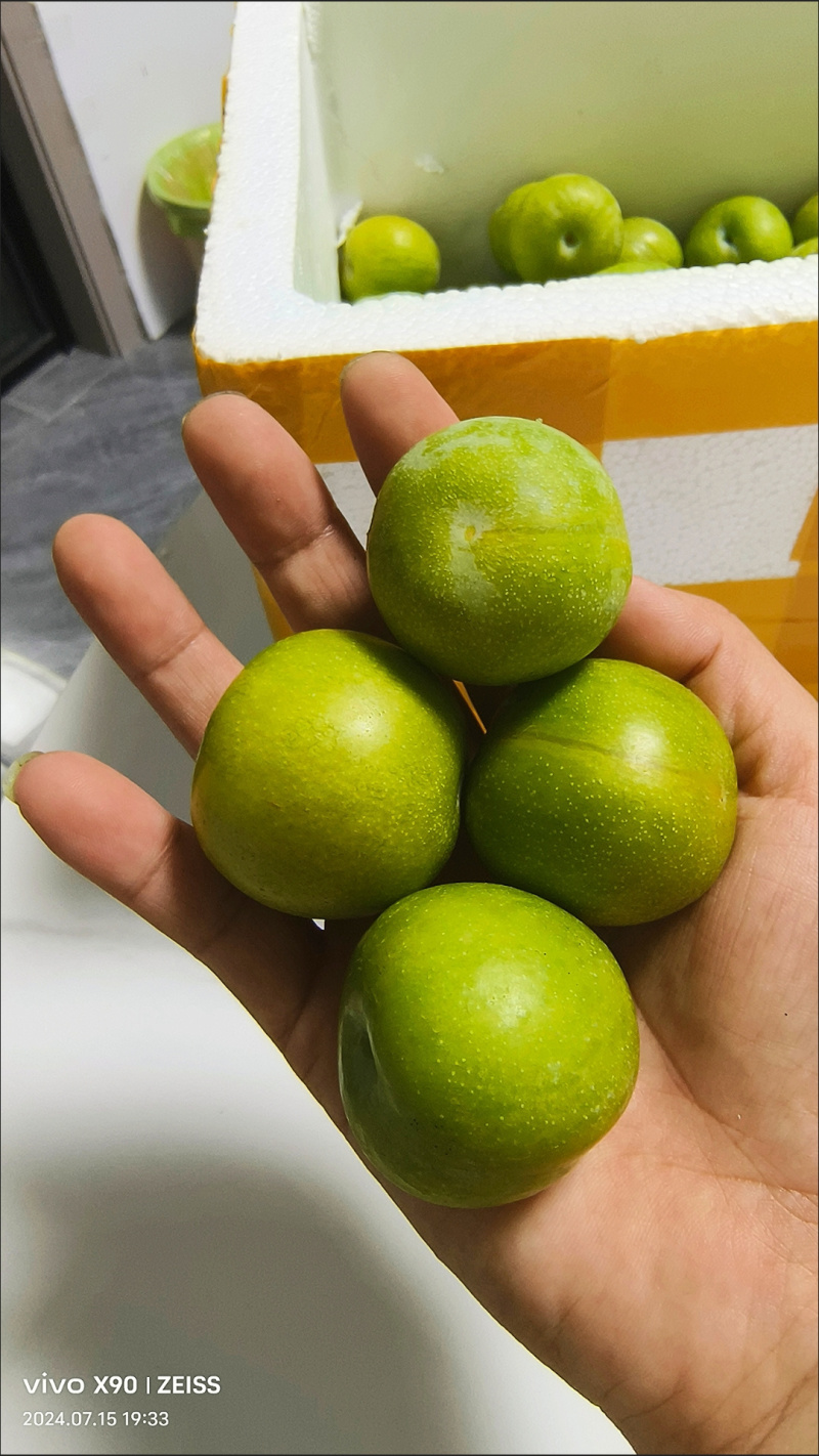 重庆万州正宗青脆李脱骨李空心李子