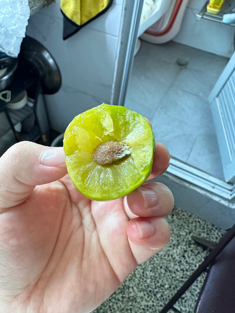 重庆万州正宗青脆李脱骨李空心李子