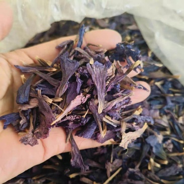 牛舌草花干品变色牛舌草花草茶原生态晒干紫花泡茶养生茶
