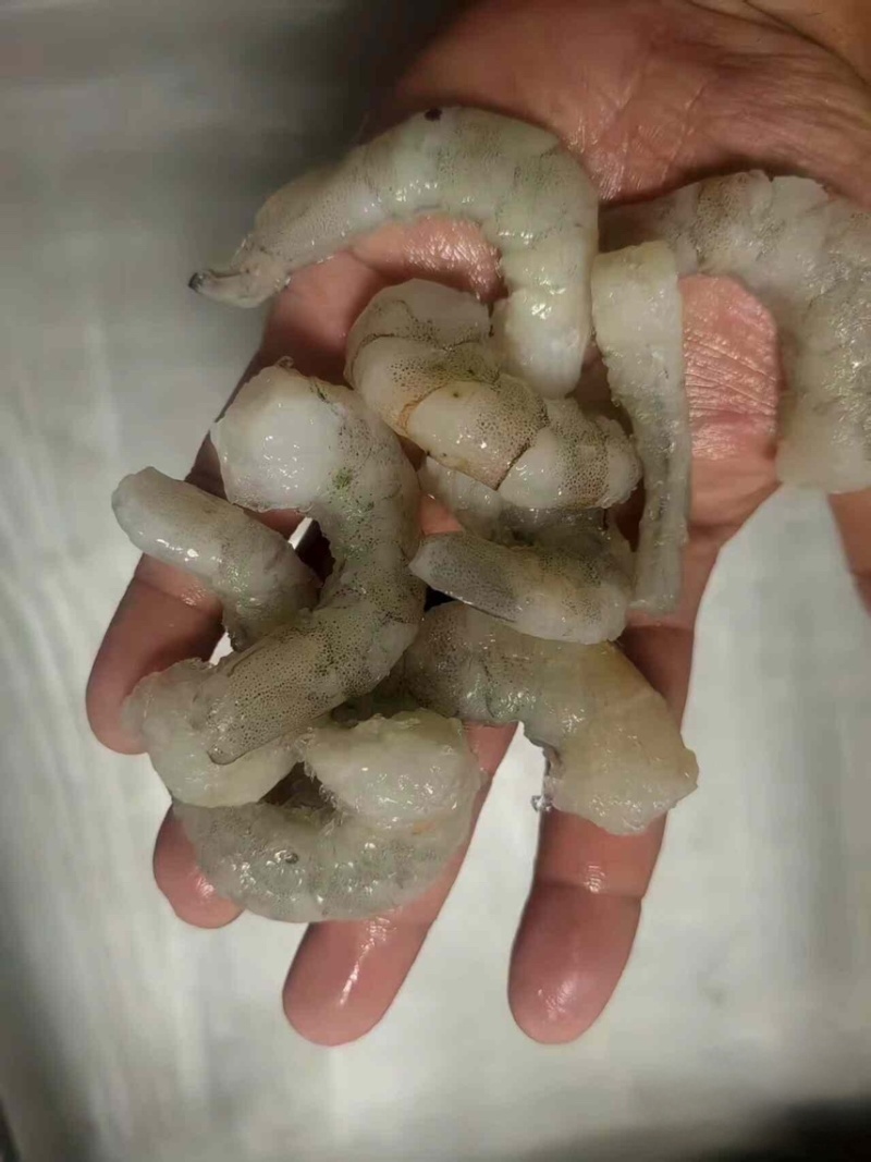 虾仁批发