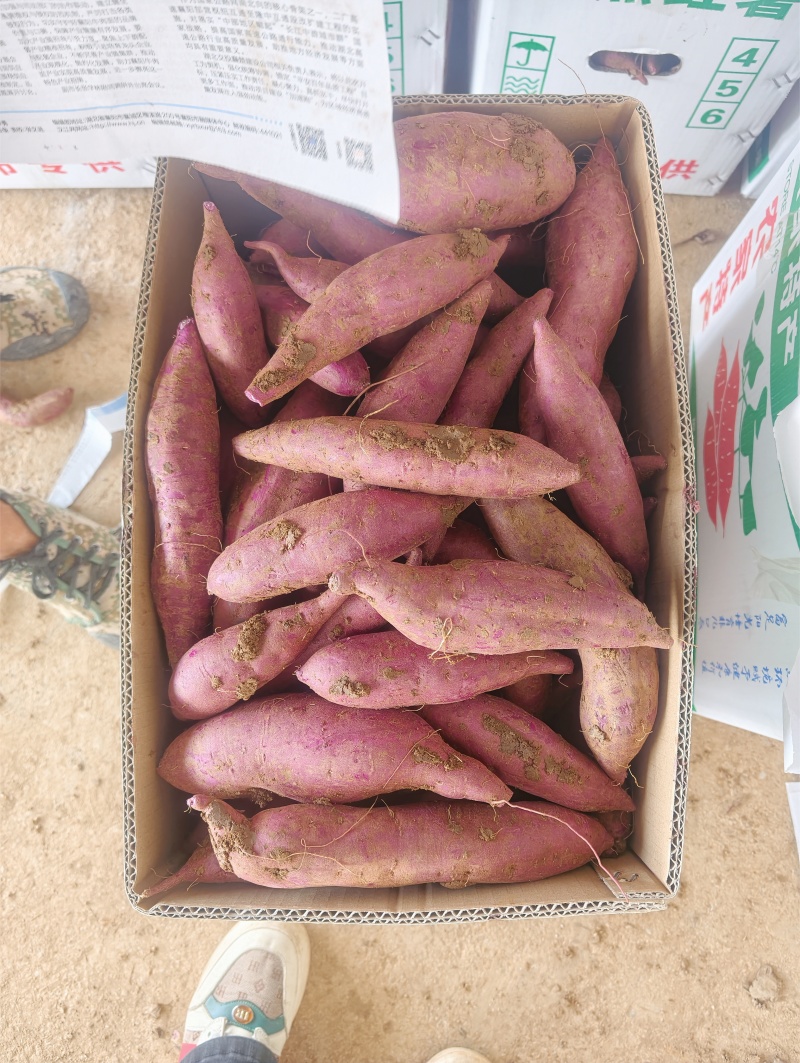 湖北蜜薯烟薯西瓜红颜色好口感香甜