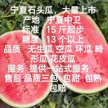 宁夏石头瓜硒砂瓜大量上市一手货源诚信经营欢迎咨询