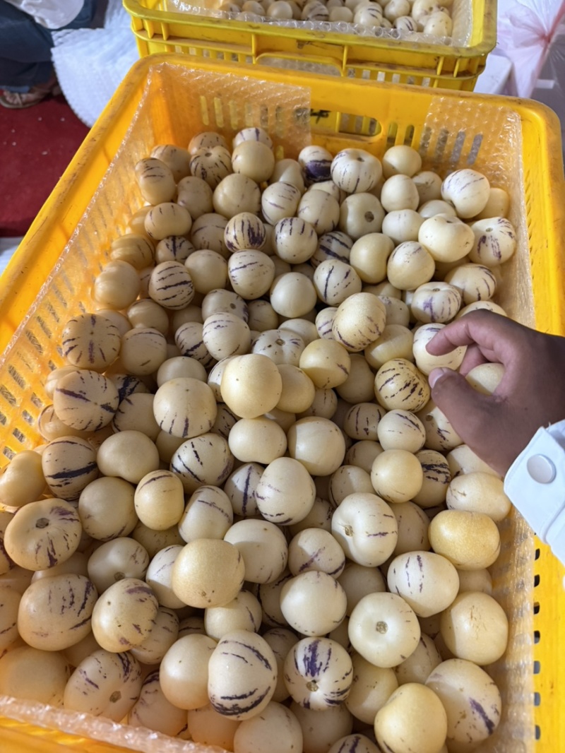 人参果