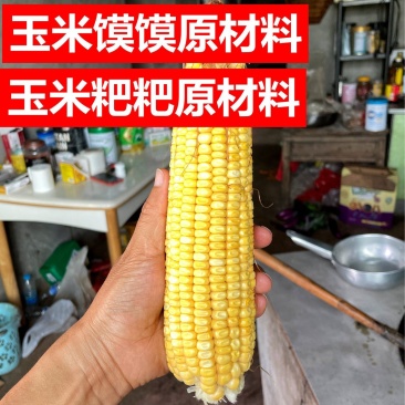 新鲜老玉米，黄玉米，玉米粑粑玉米馍馍打浆原材料，老式玉米