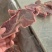 310多肉牛脖骨