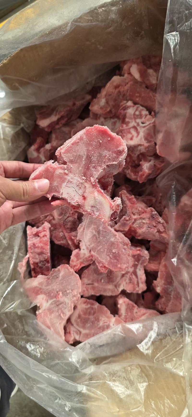 满肉龙骨块
