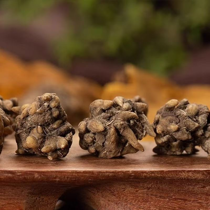 正宗猫爪草中药材正品河南淮滨野生猫爪草