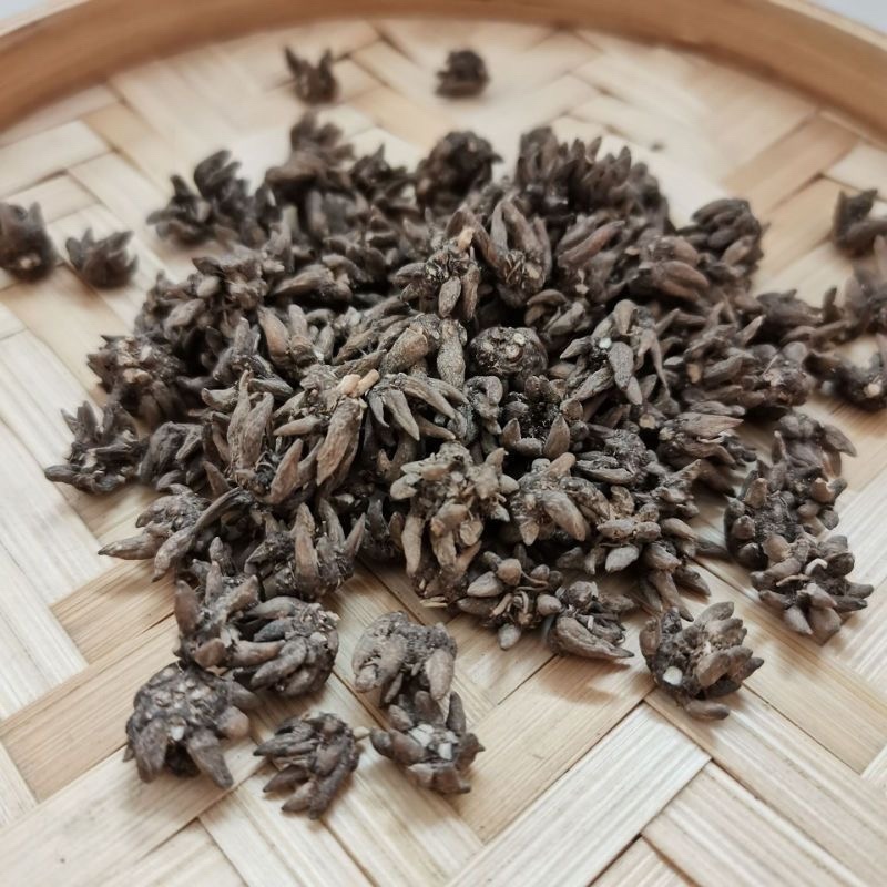 正宗猫爪草中药材正品河南淮滨野生猫爪草