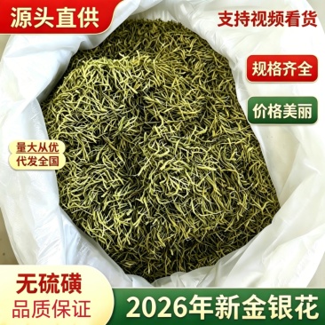 重庆秀山金银花产地源头大量稳定供应无硫烘干干花