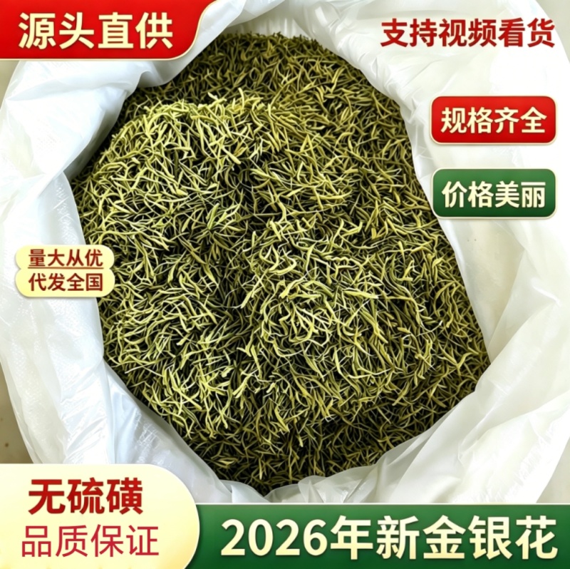 重庆秀山金银花产地源头大量稳定供应无硫烘干干花