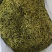 重庆秀山金银花产地源头大量稳定供应无硫烘干干花
