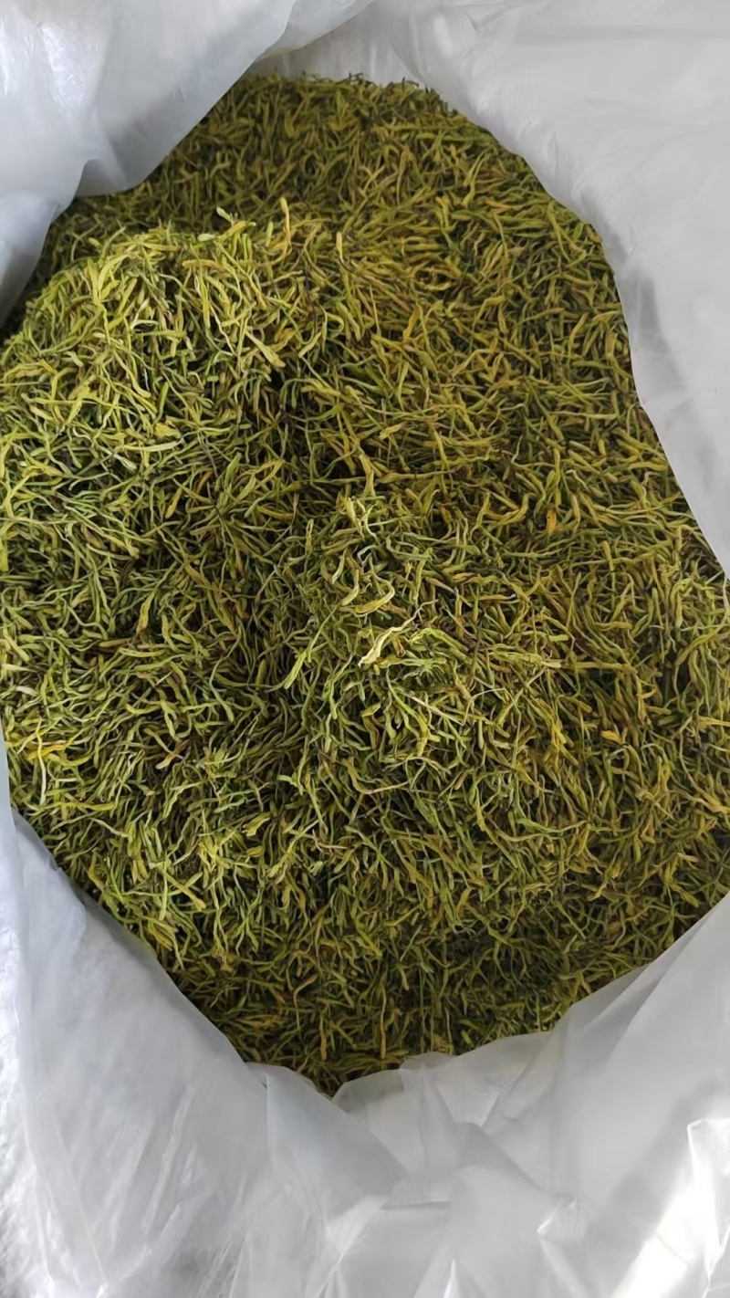 重庆秀山金银花产地源头大量稳定供应无硫烘干干花