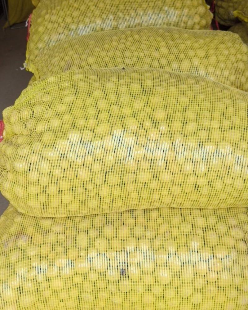 恩施马尔科小土豆