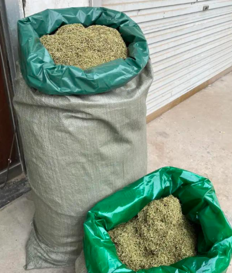 重庆秀山金银花产地源头大量稳定供应无硫烘干干花