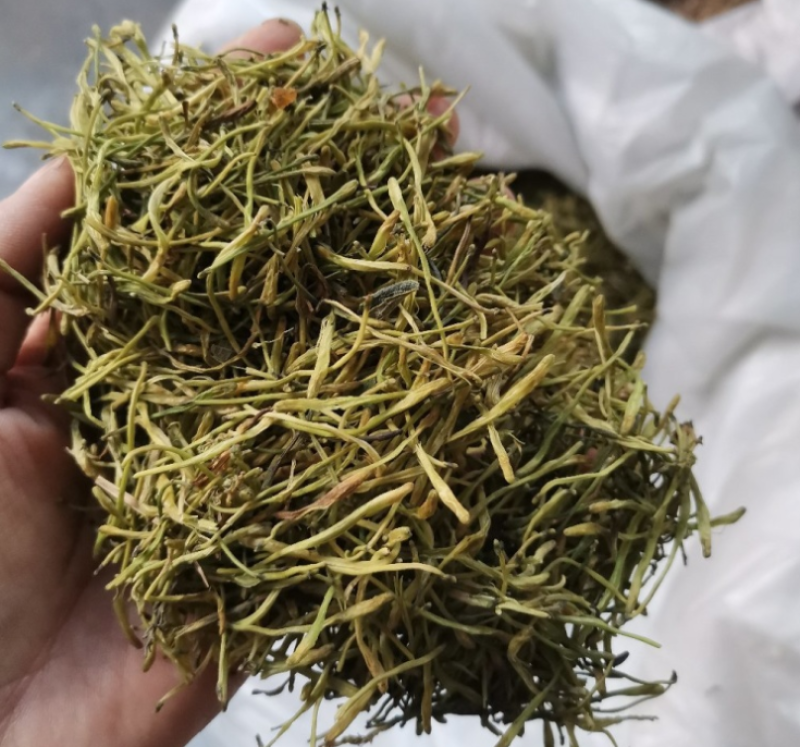 重庆秀山金银花产地源头大量稳定供应无硫烘干干花
