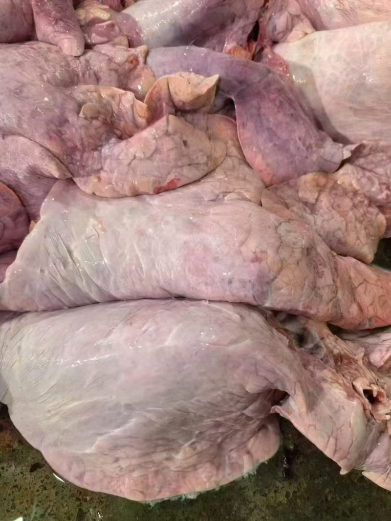 食品级牛肺