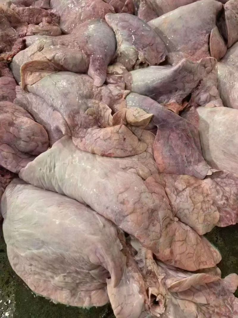 食品级牛肺