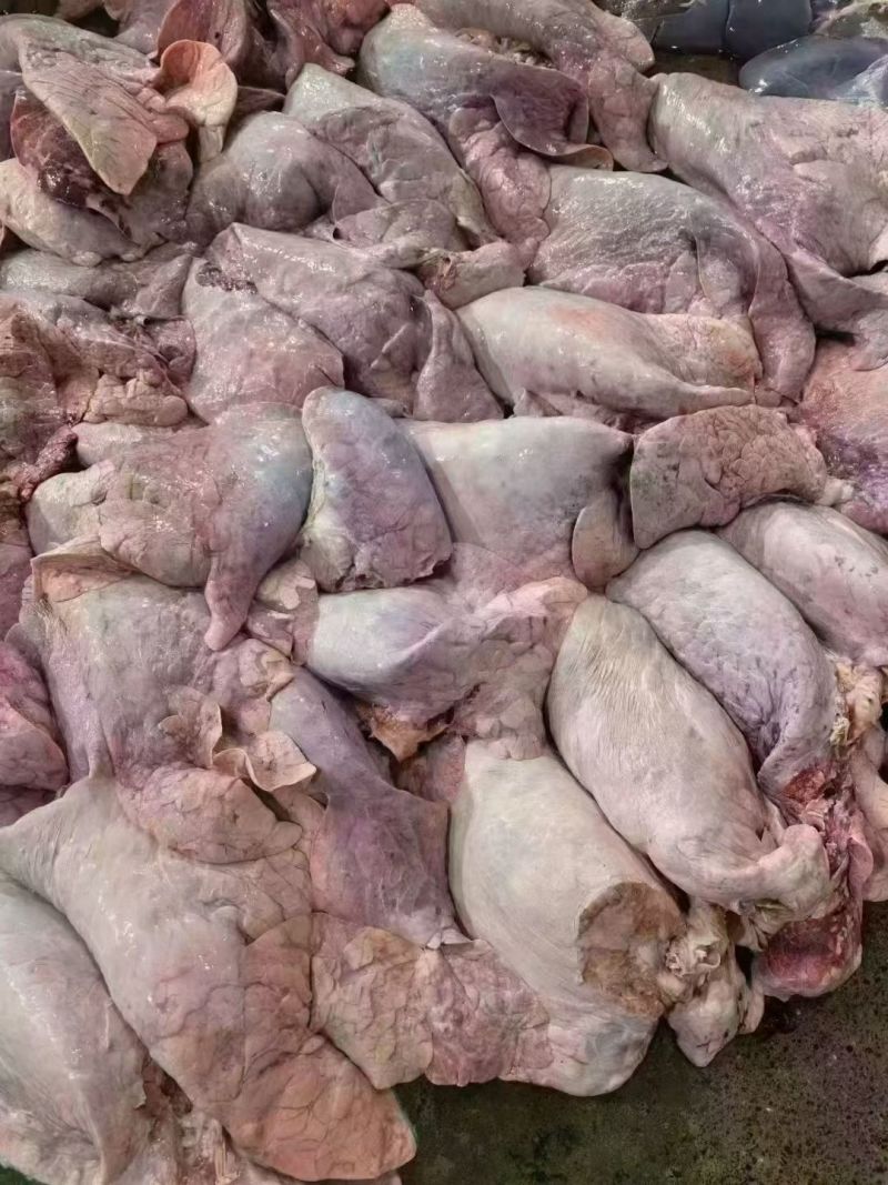 食品级牛肺