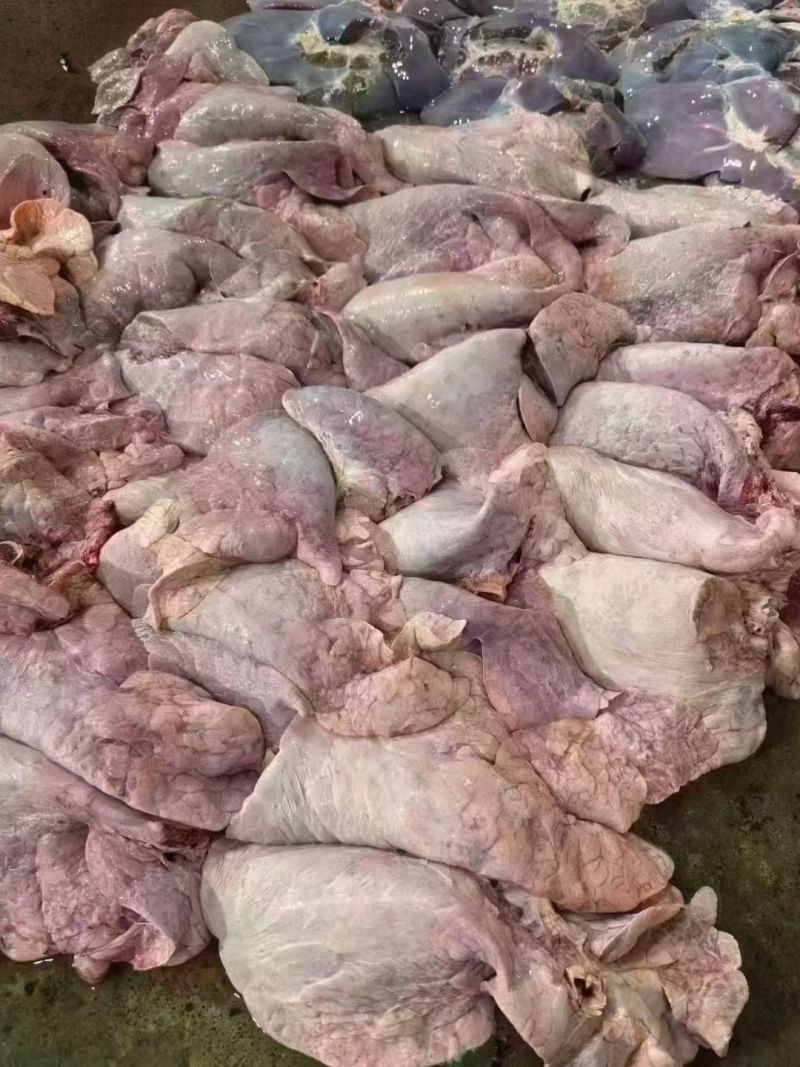 食品级牛肺