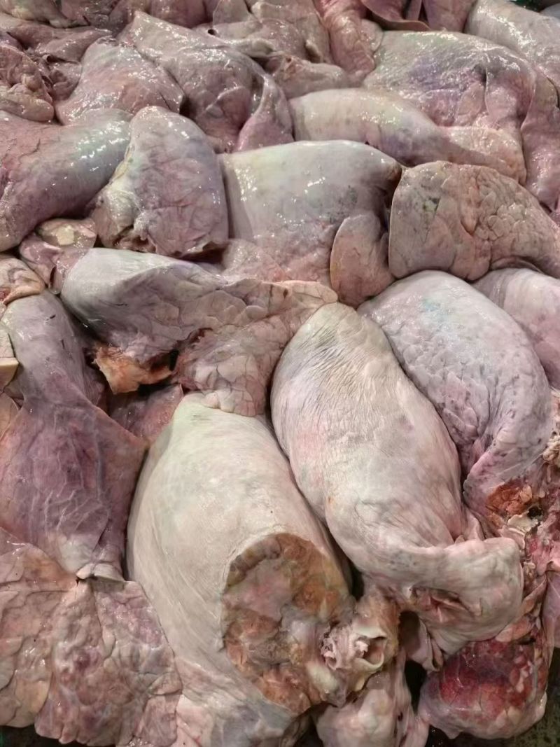食品级牛肺