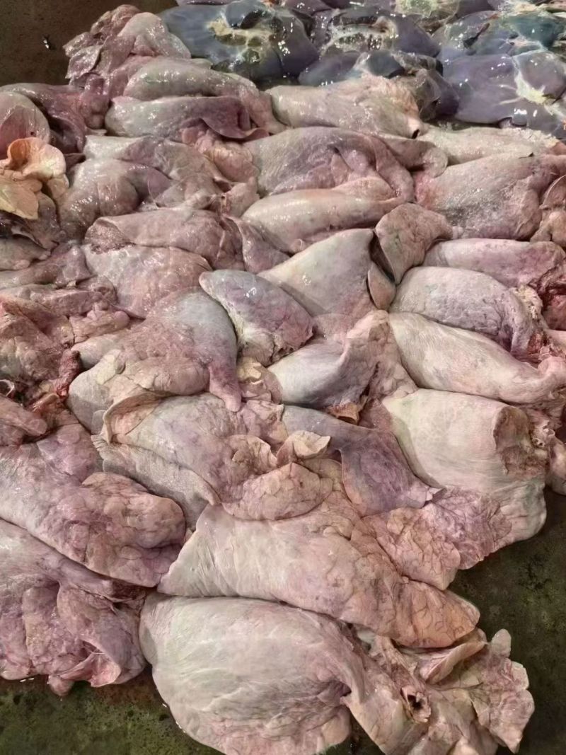 食品级牛肺