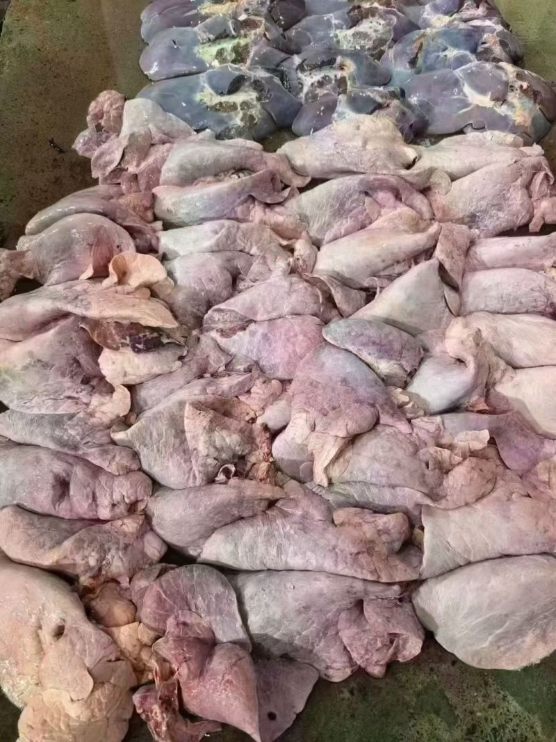 食品级牛肺