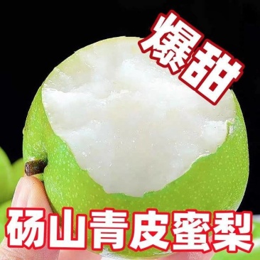 砀山翠冠梨一件代发