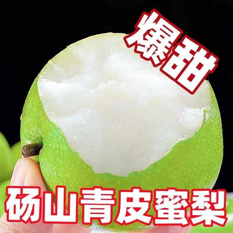 砀山翠冠梨一件代发