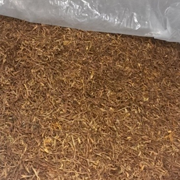 巴中市通江县诺水河纯农户种植金银花