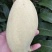 【精品】广西百色芒果桂七桂十大量上市一手货源价格美丽