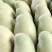 【精品】广西百色芒果桂七桂十大量上市一手货源价格美丽
