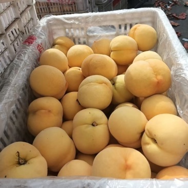 黄毛涛电商货市场货都有