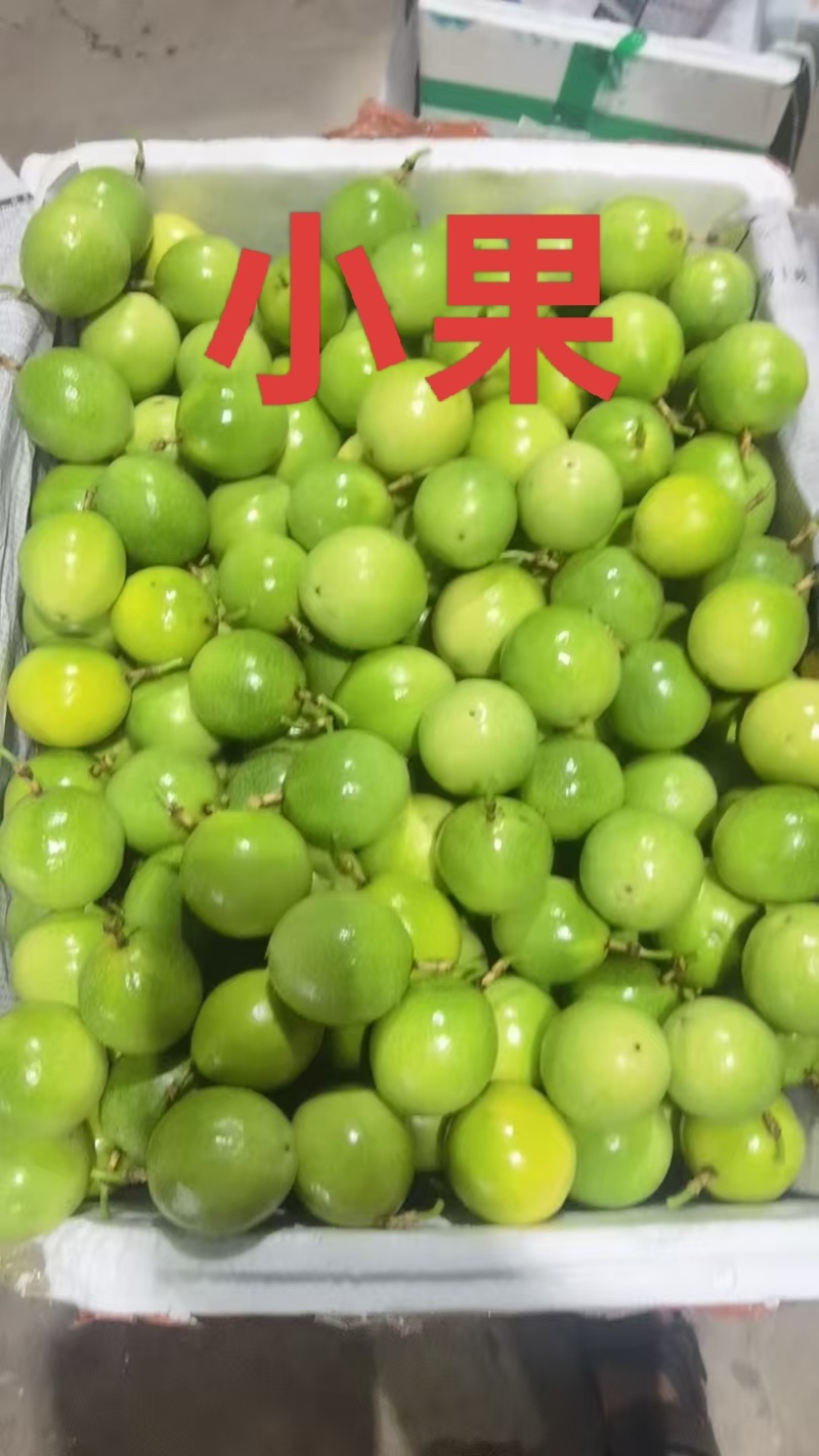海南钦蜜9号百香果小黄金，大黄金原产地直供量大从优