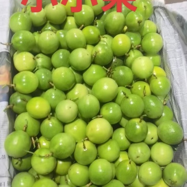 海南钦蜜9号百香果原产地直供量大从优