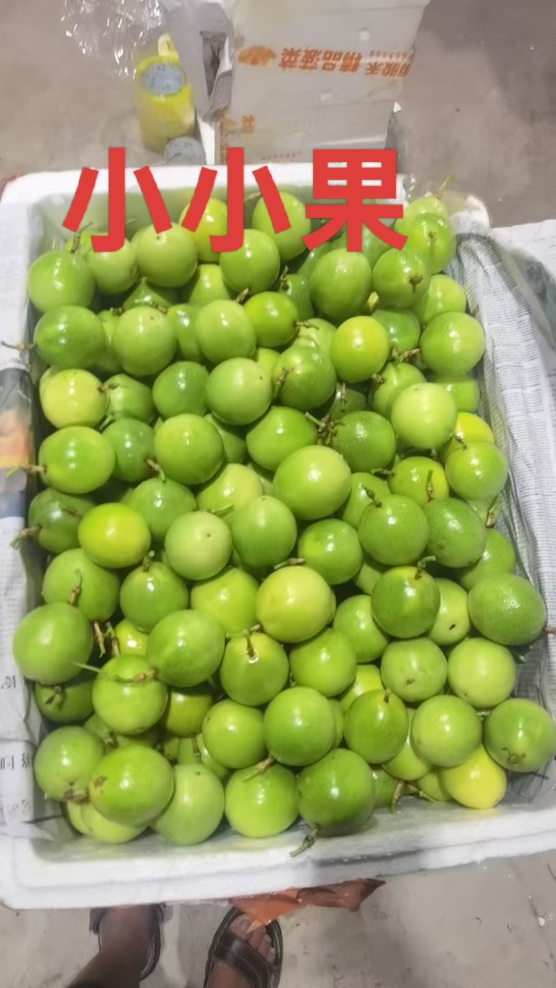 海南钦蜜9号百香果原产地直供量大从优