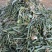 大葱下脚料，葱叶，一天有4000斤左右，需要的联系我