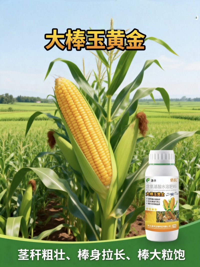 大棒玉黄金，玉米金大棒专用叶面肥，控旺，抗倒，增产，增收