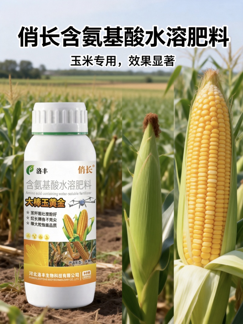 大棒玉黄金，玉米金大棒专用叶面肥，控旺，抗倒，增产，增收