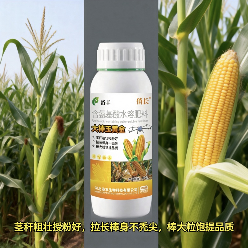 大棒玉黄金，玉米金大棒专用叶面肥，控旺，抗倒，增产，增收