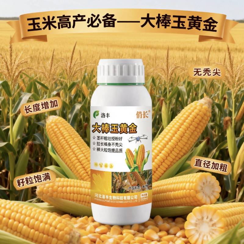 大棒玉黄金，玉米金大棒专用叶面肥，控旺，抗倒，增产，增收