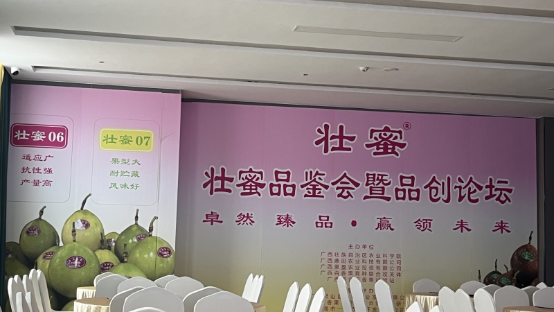 壮蜜06百香果