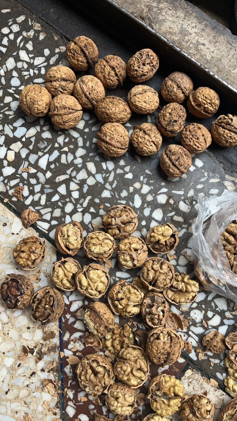 云南薄皮核桃