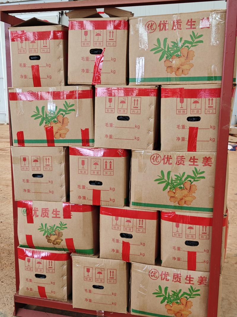 云南小黄姜