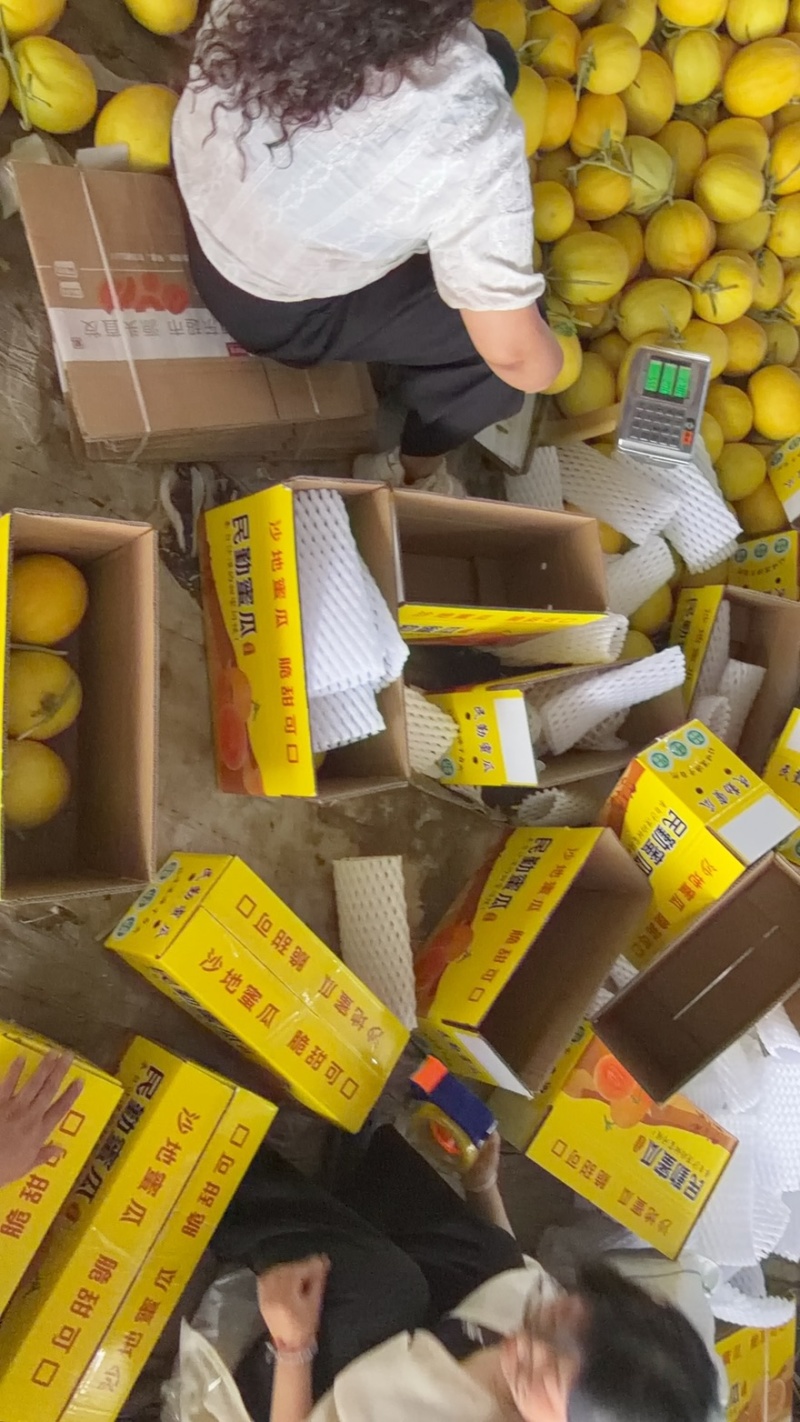 甘肃民勤蜜瓜产地直发承接电商一件代发社区团购落地配
