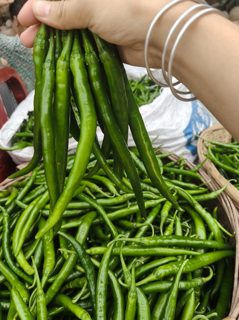 3号线椒