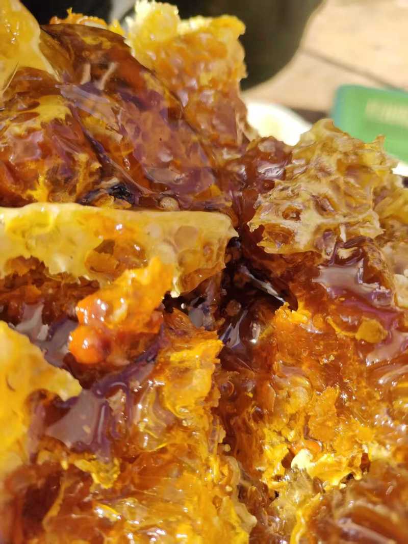 不喂糖、不浓缩，云南原始森林里的土蜂蜜