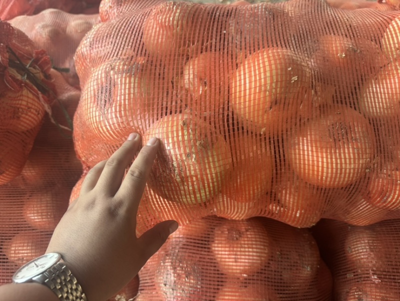 精品黄洋葱大量现货对接全国各批发市场加工厂