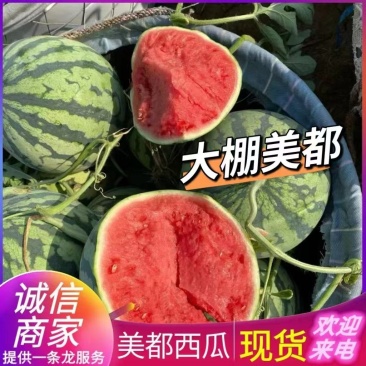 美都西瓜产地直发一手货源量大从优欢迎来电咨询