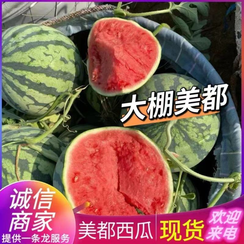 美都西瓜产地直发一手货源量大从优欢迎来电咨询
